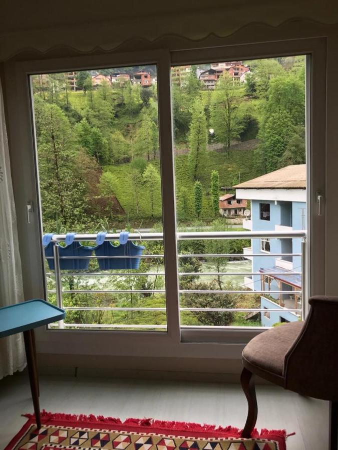 River Side Placed Suit House Secer Apart Çamlıhemşin エクステリア 写真
